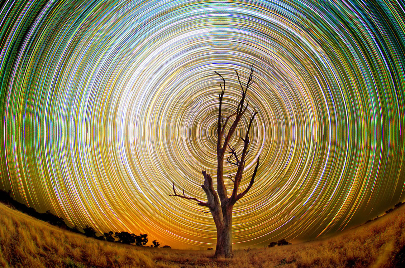 lincoln harrison tree spiral digital surreal