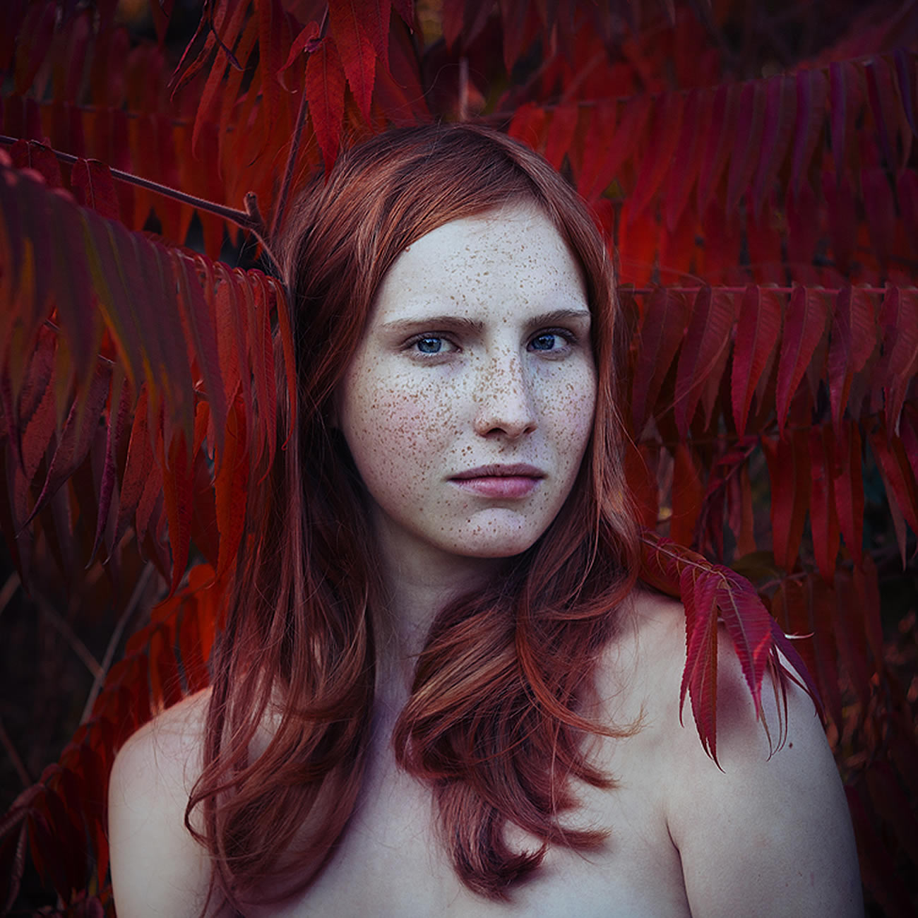 red hair girl with freckles with red feathers, photography by Michael Magin
