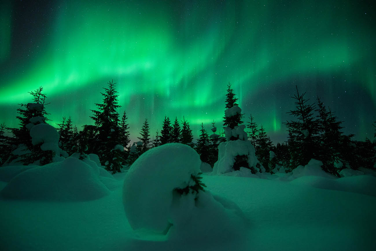 arild heitmann snow green