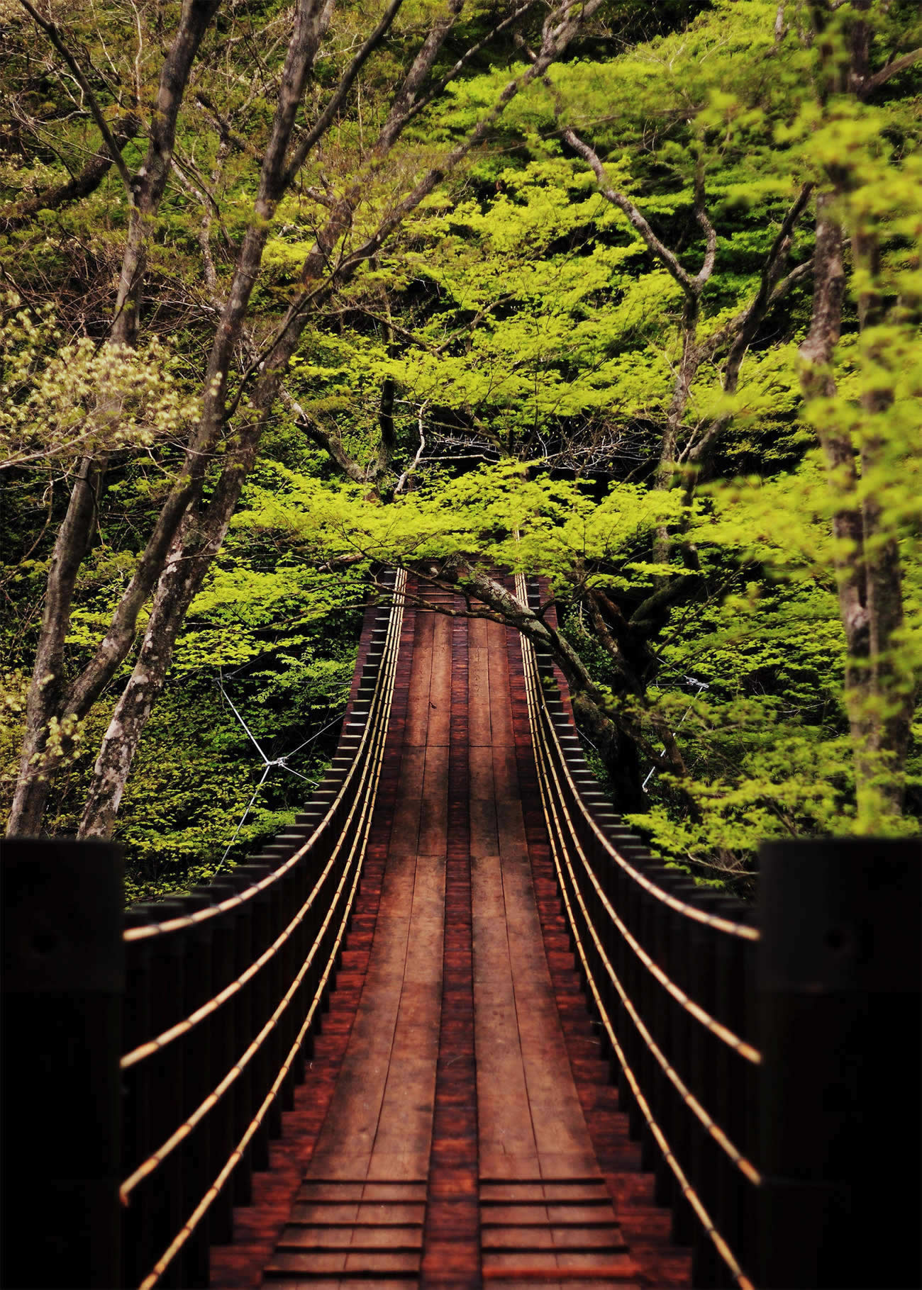 Shiomibashi Bridge by arixxx