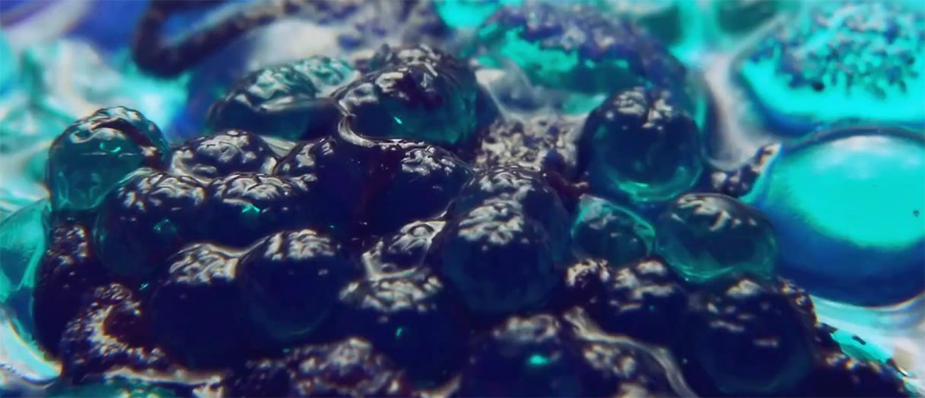 blue cells, gel, from upstream color movie