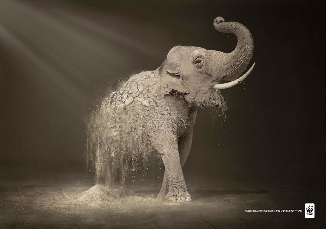 WWF Desertification: Elephant, elephant turns to dust, poster design