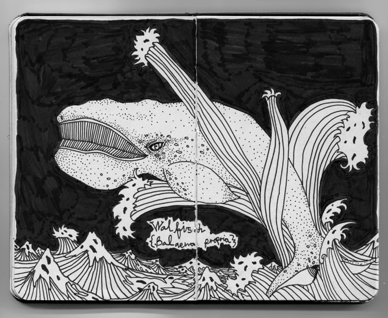 whale,  introspective by david zvereff