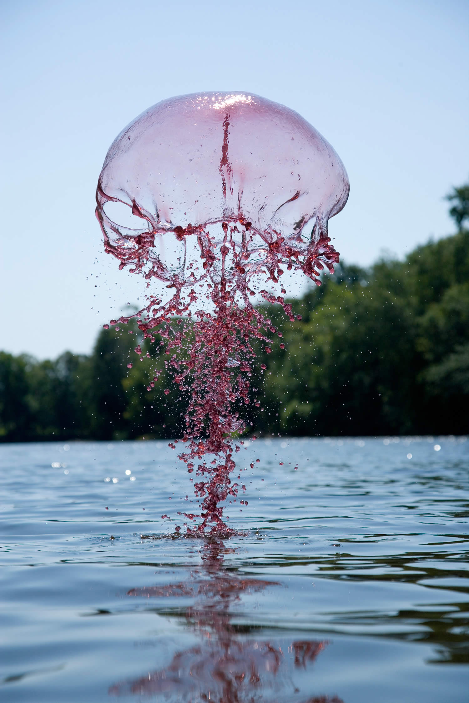 burgundy splash,  Jack Long Liquid Art Photography 