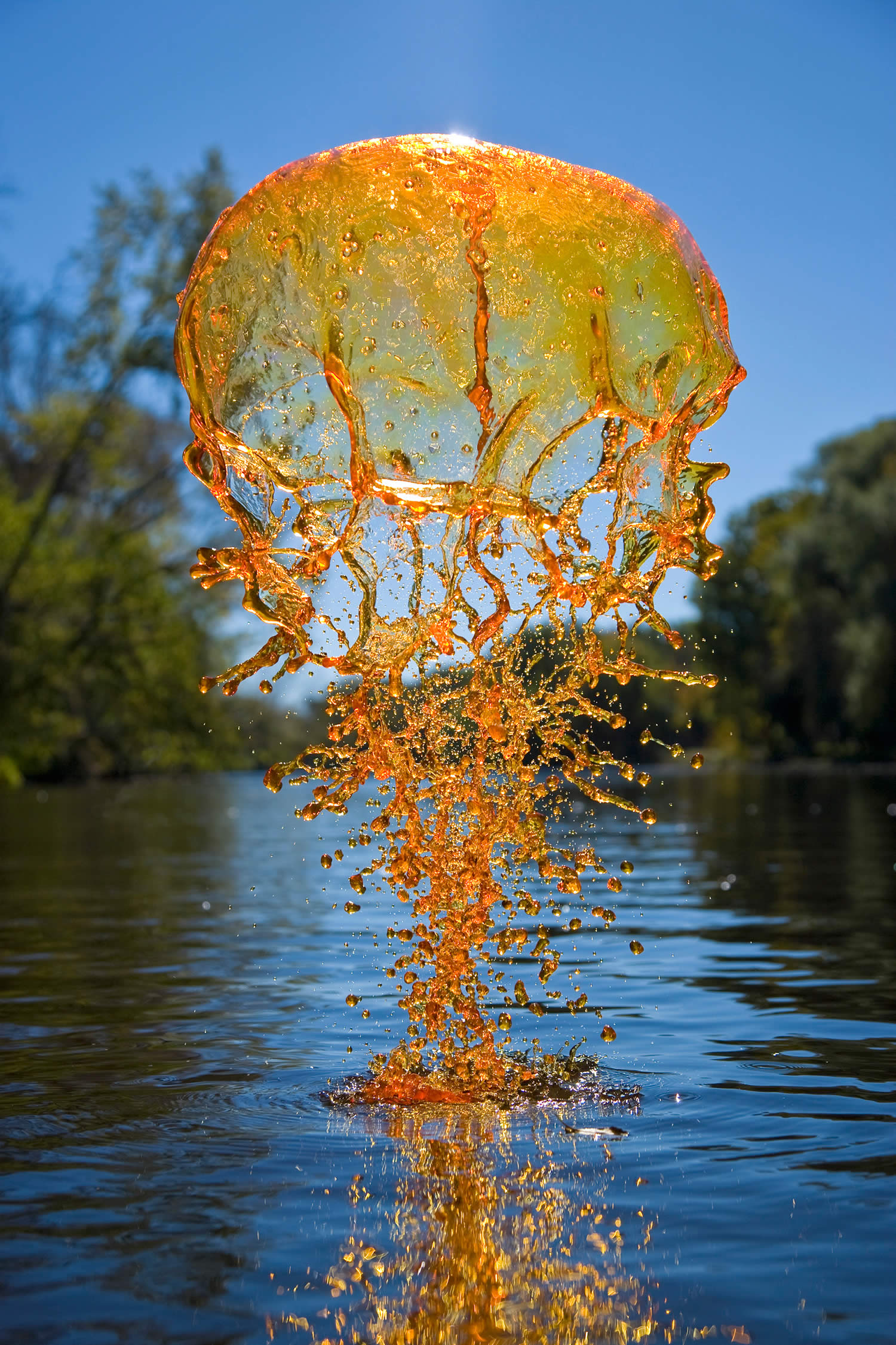 bright orange jellyfish splash in river,  Jack Long Liquid Art Photography 