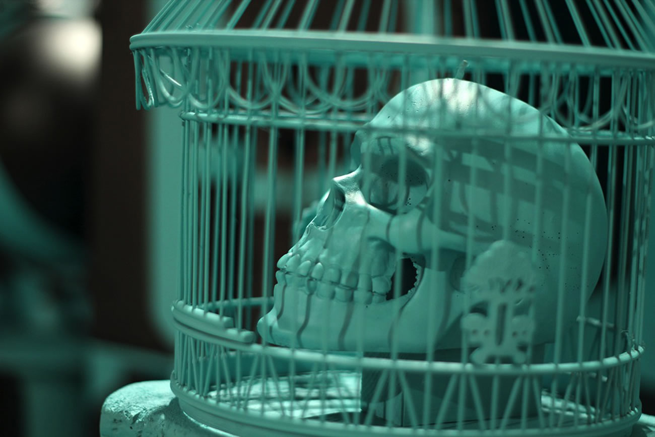 skull in birdcage Find yourself in chaos by akacorleone