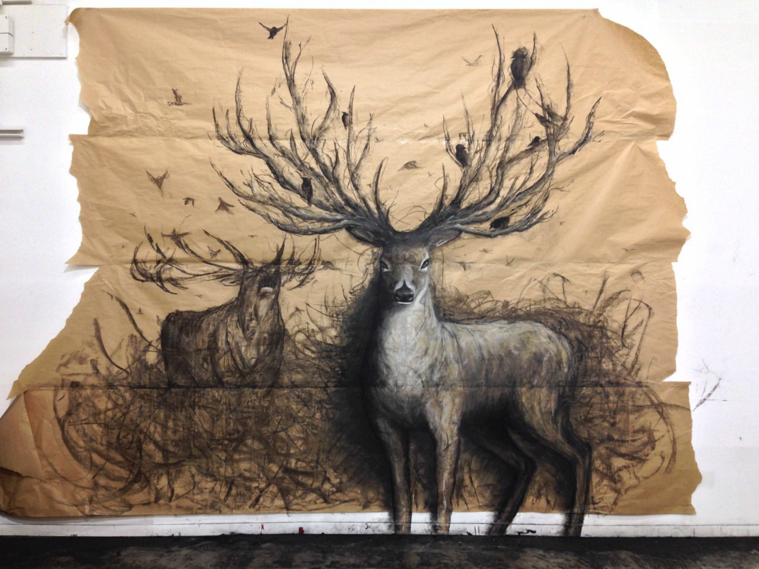 fiona tang deer drawing antlers