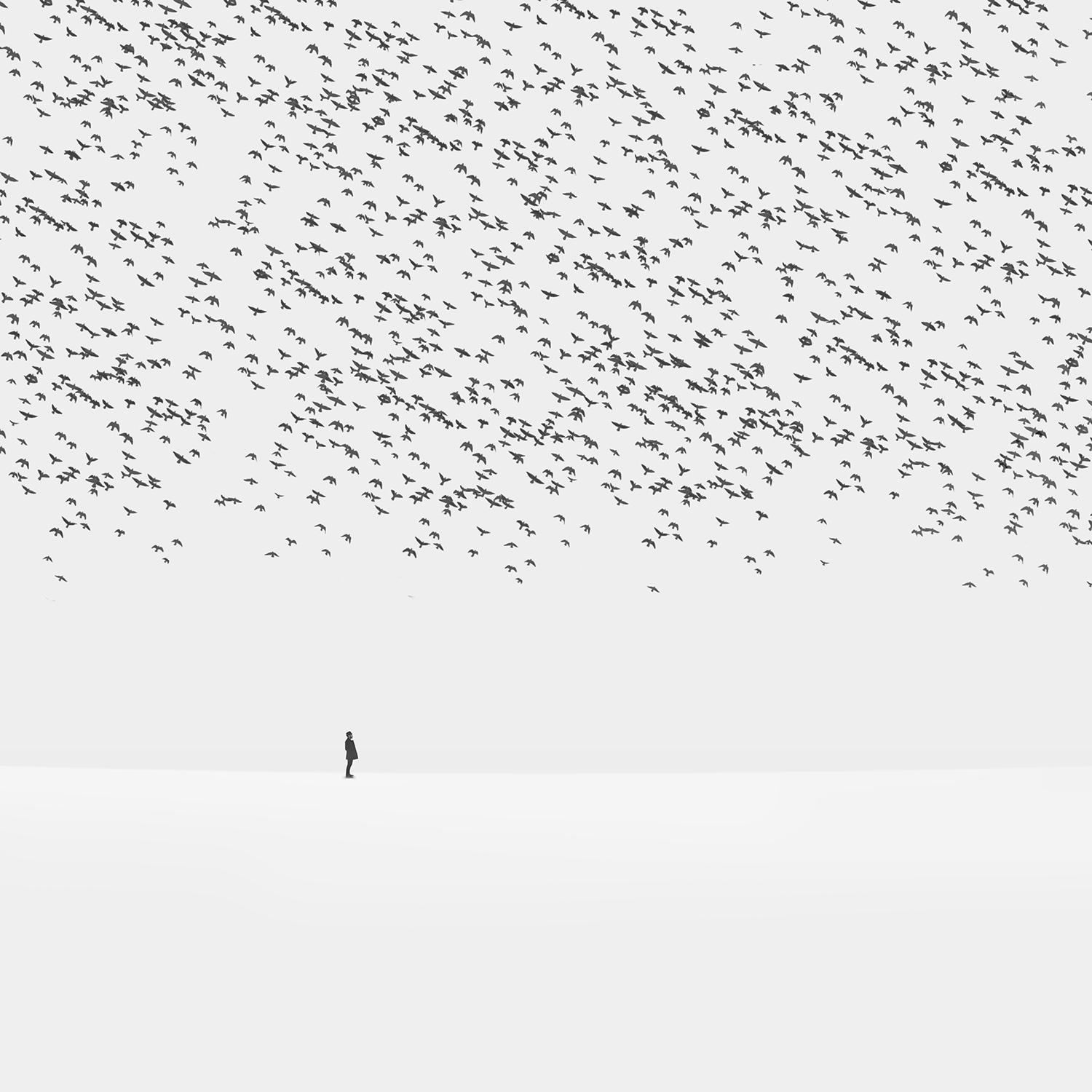 hossein zare surreal photography white flock black