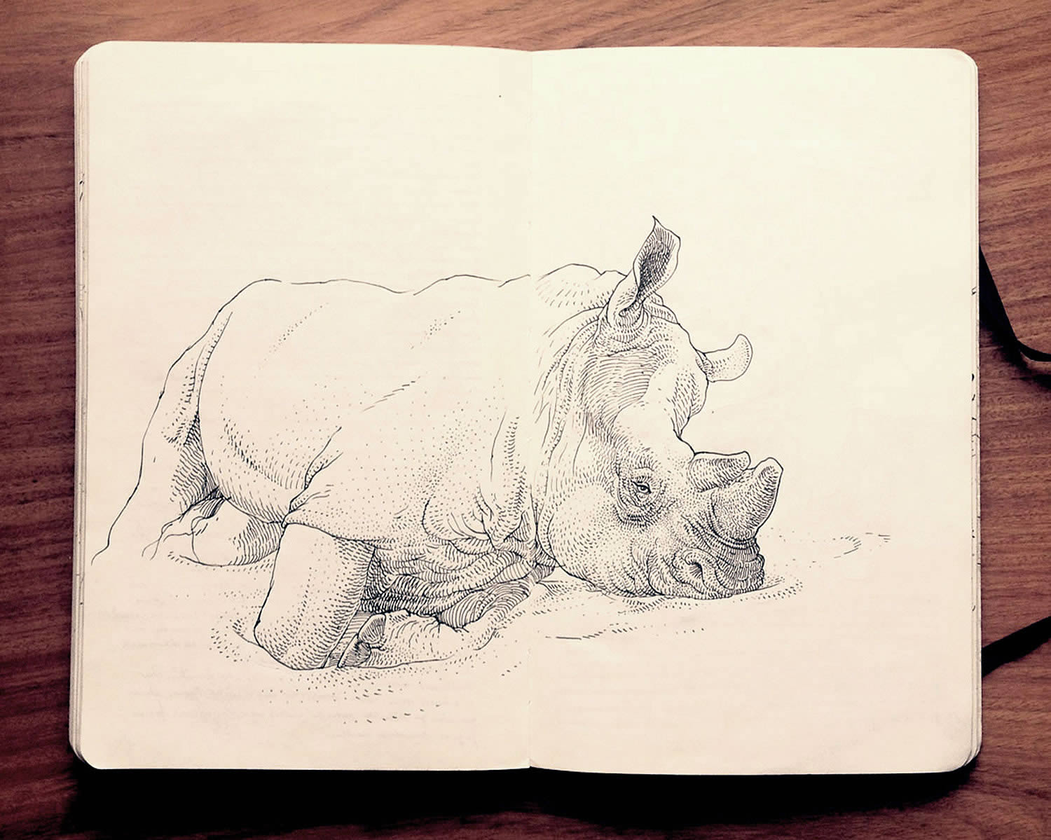 rino sketchbook drawing by Jared Muralt