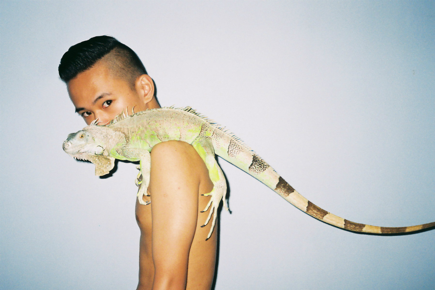 ren hang photographer china model lizard
