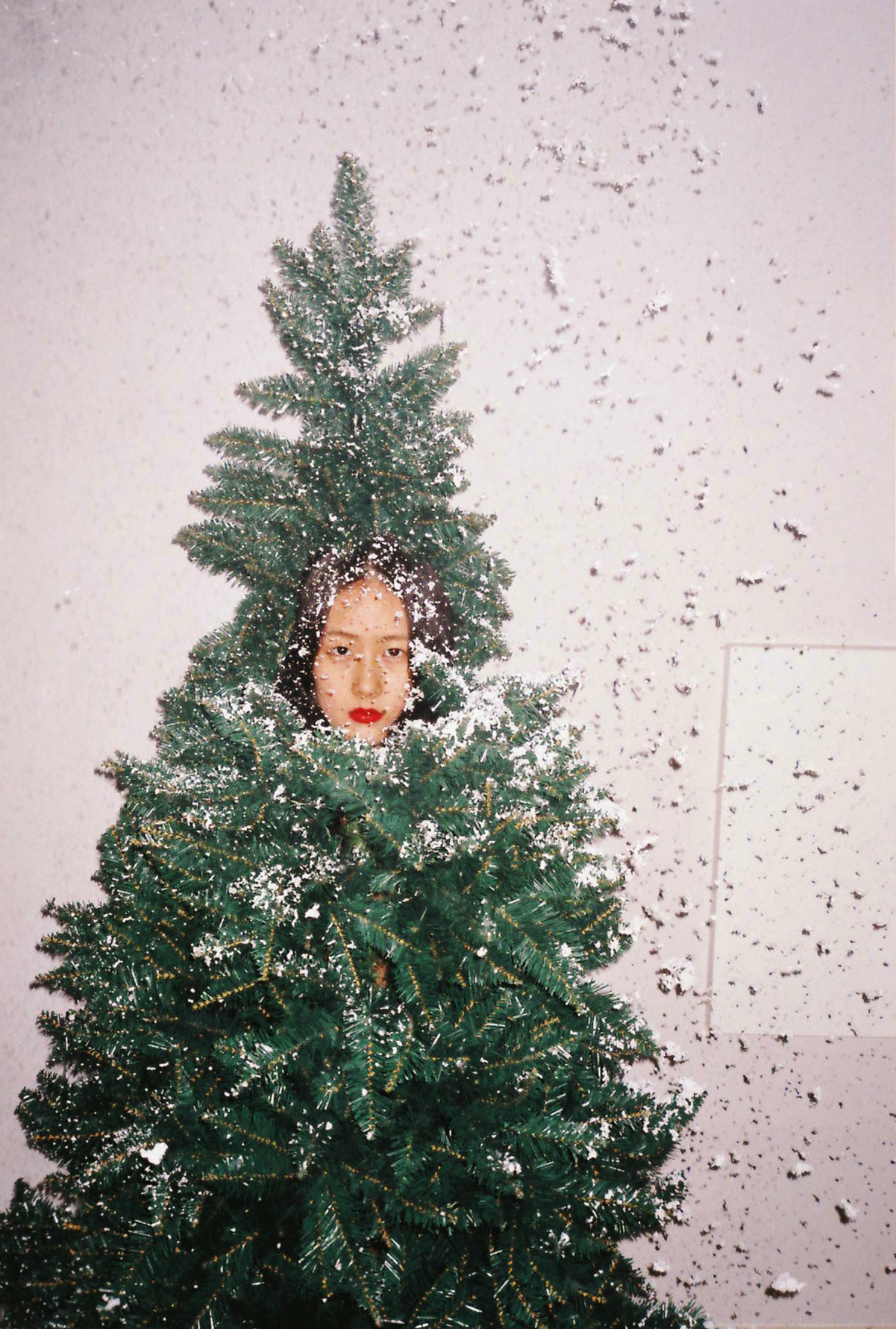 reng hang chinese photogarpher christmas tree
