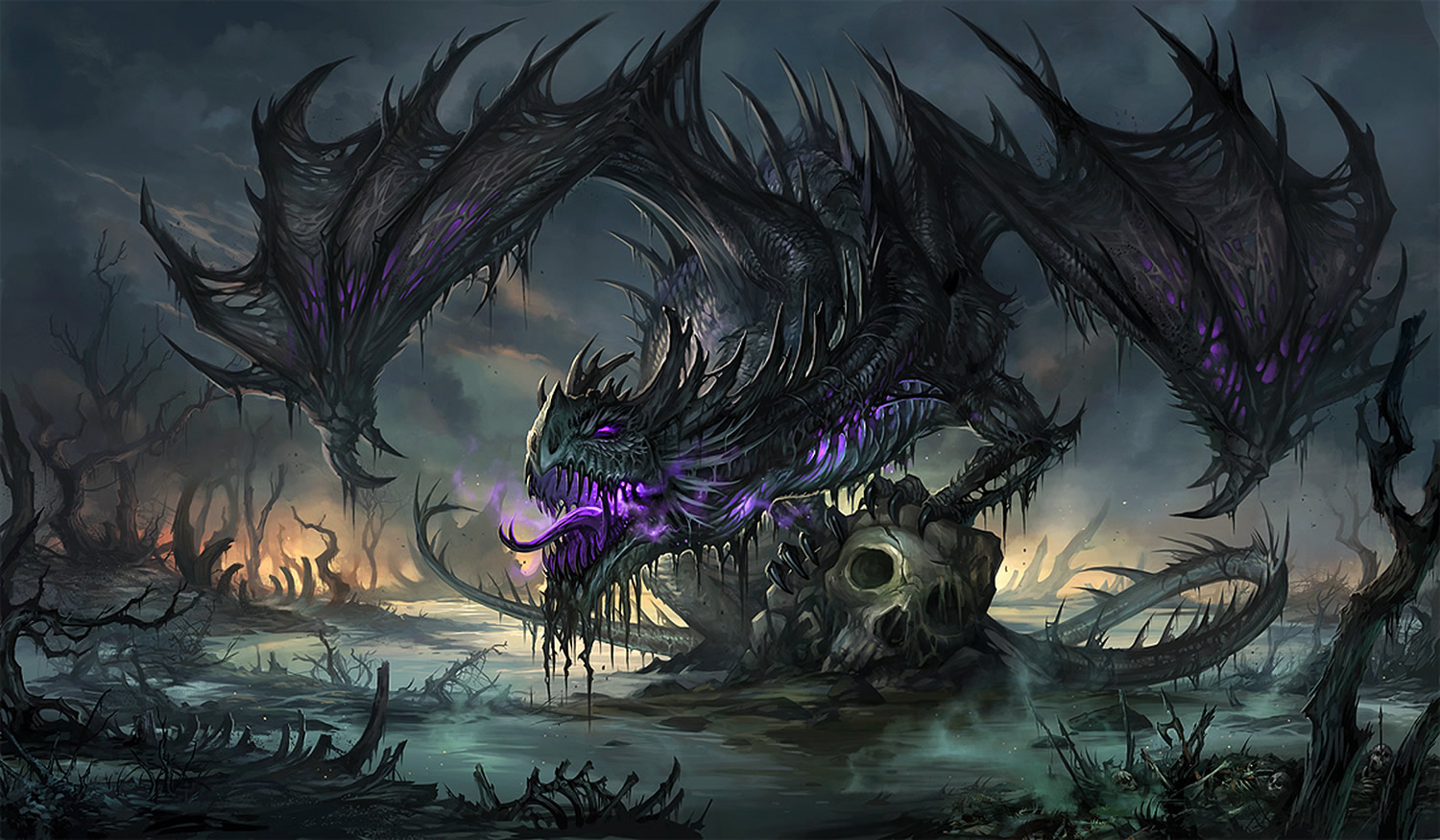 black dragon, digital painting by Sandara