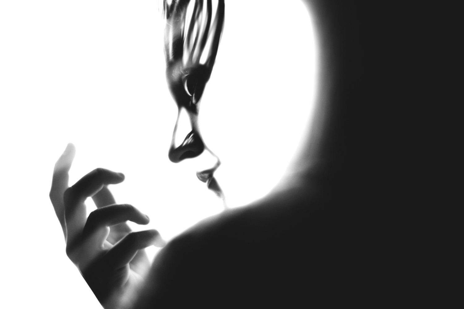 silvia grav black white contrast