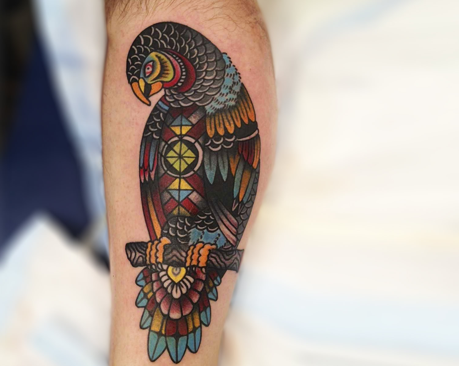 beautiful colored parrot tattoo by green lotus tattoo