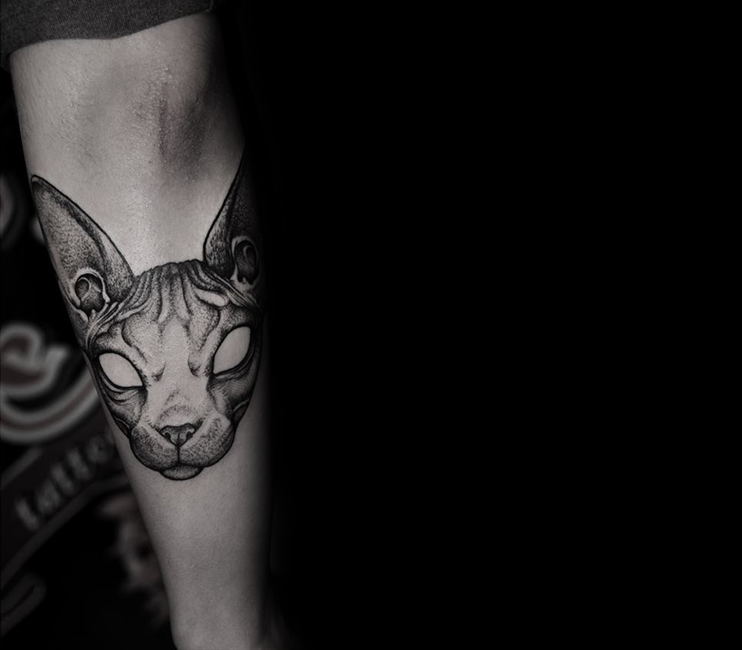 Sphynx cat by grindesign