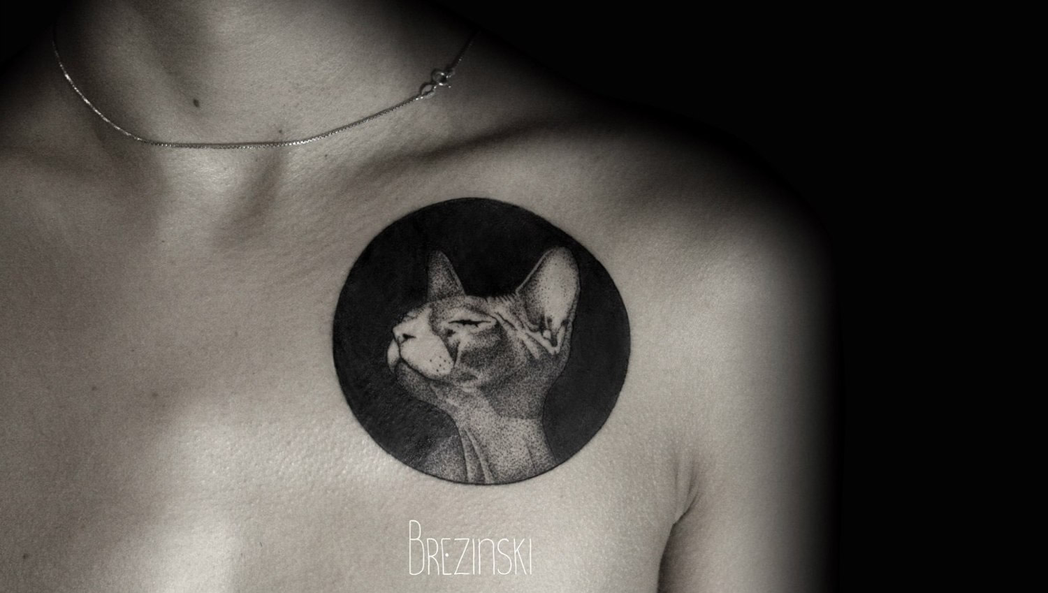 cat dotwork, tattoo by Ilya Brezinski