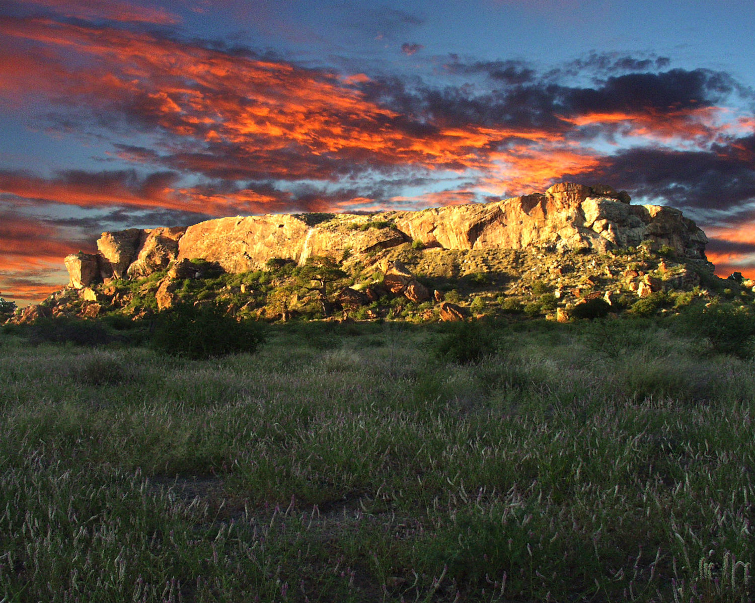 Mapungubwe National Park africa sunset