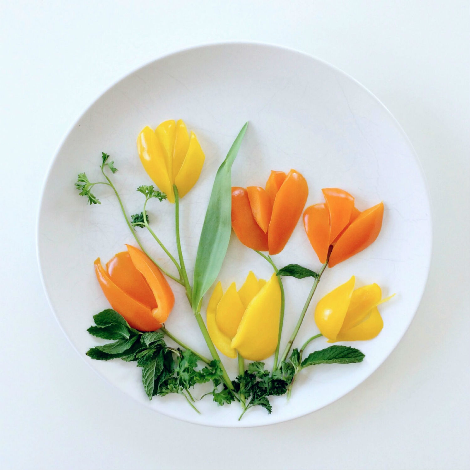 culinary art tulips lauren purnell