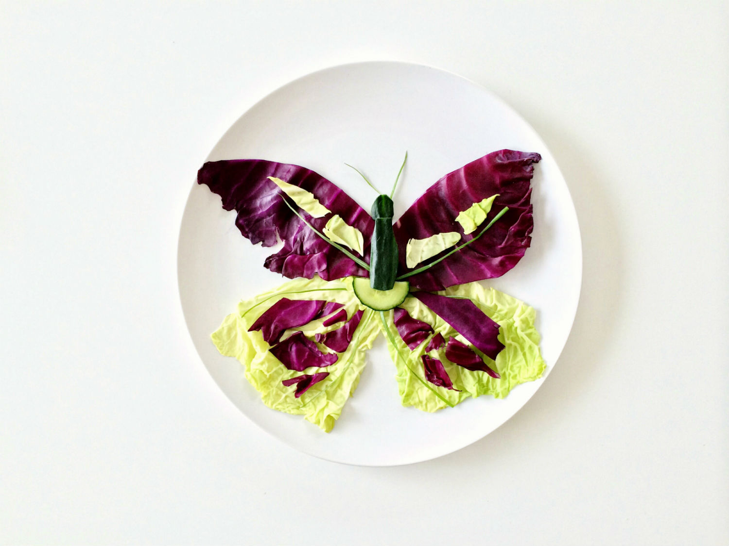 lauren purnell butterfly culinary art