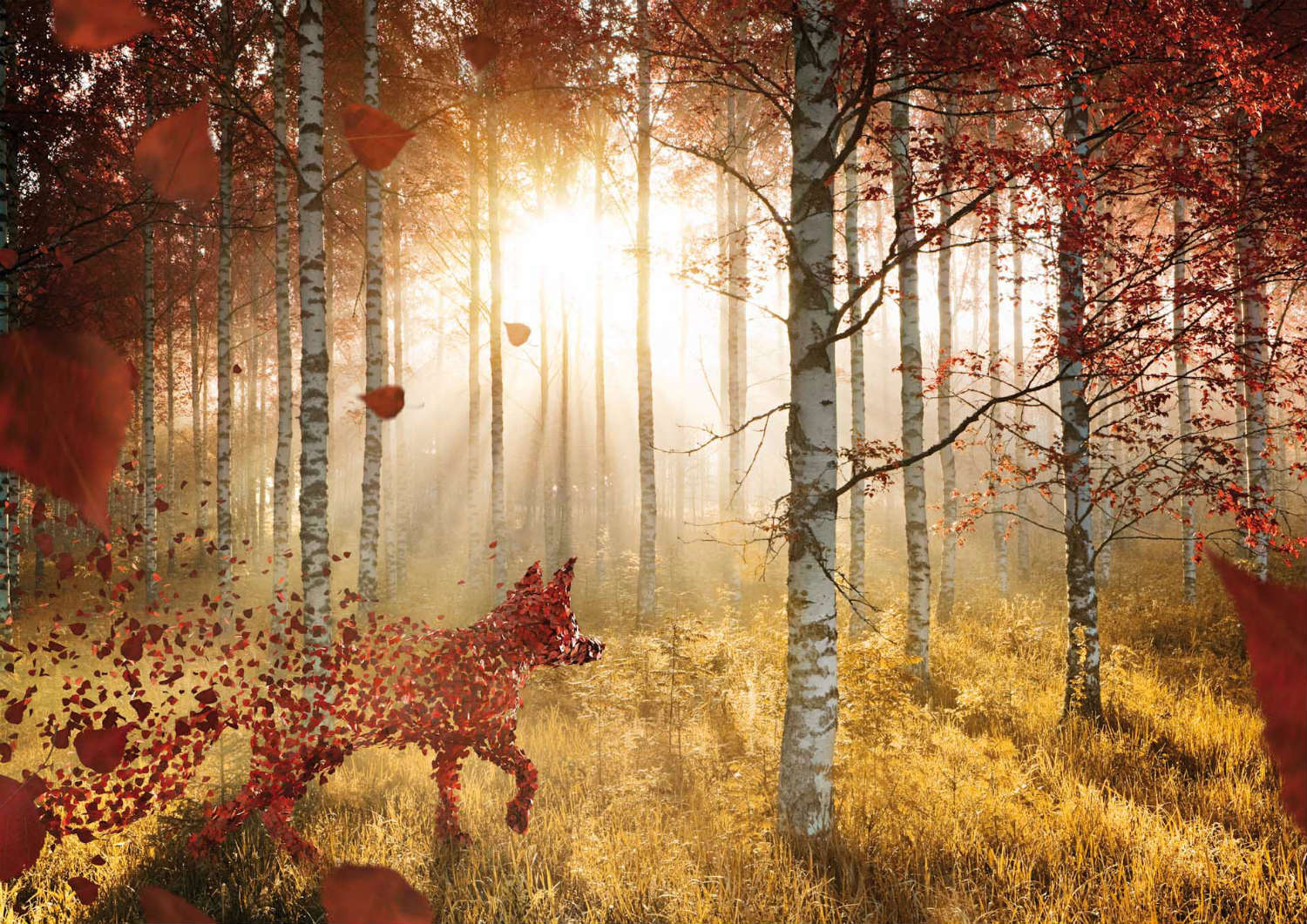 viaframe forest autumn fox