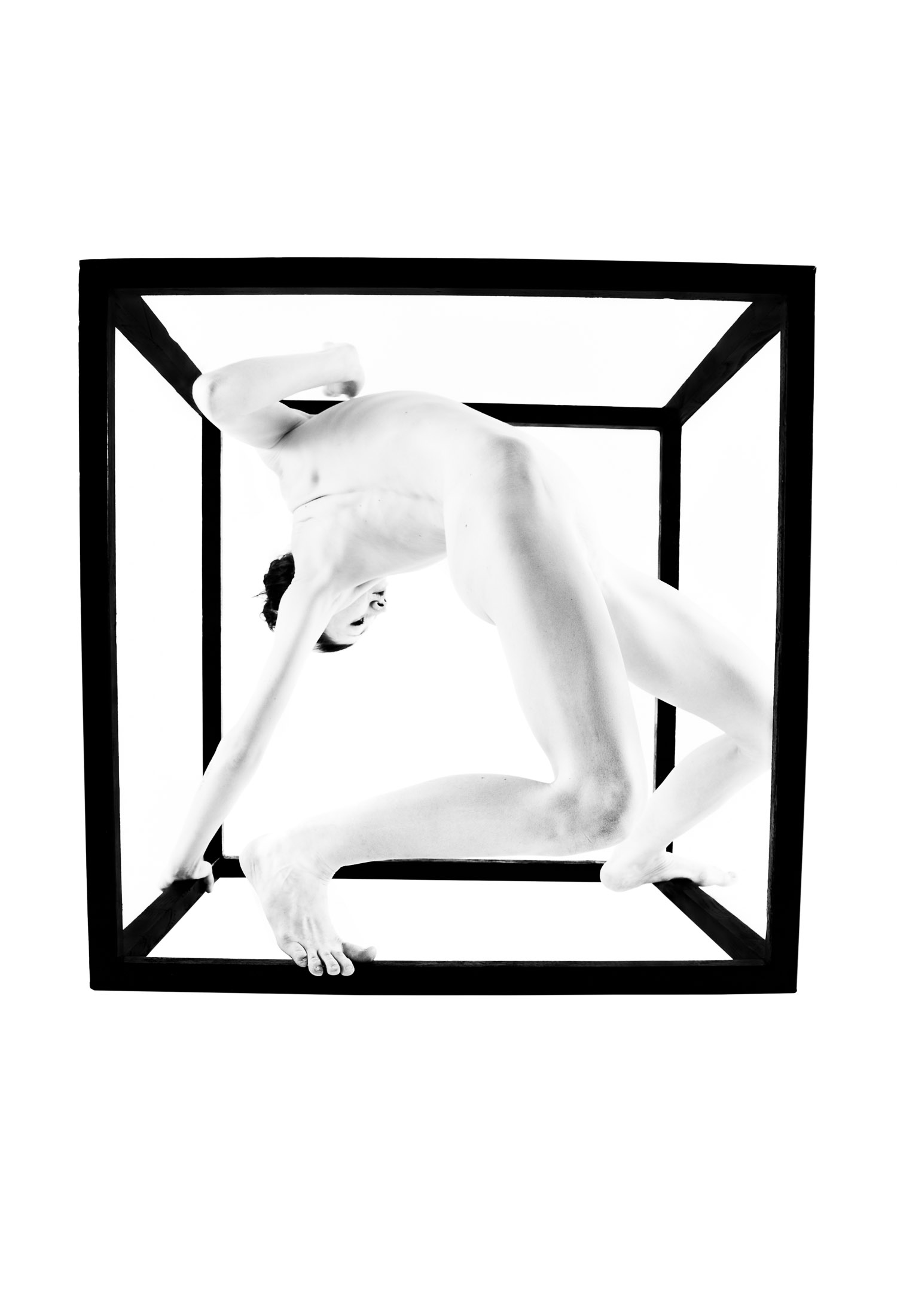 Natalie de segonzac black white cube stories