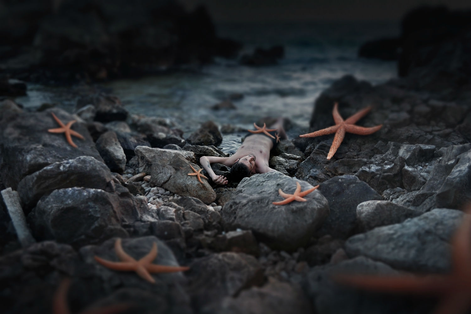 Giulio Musardo photography surreal  starfish