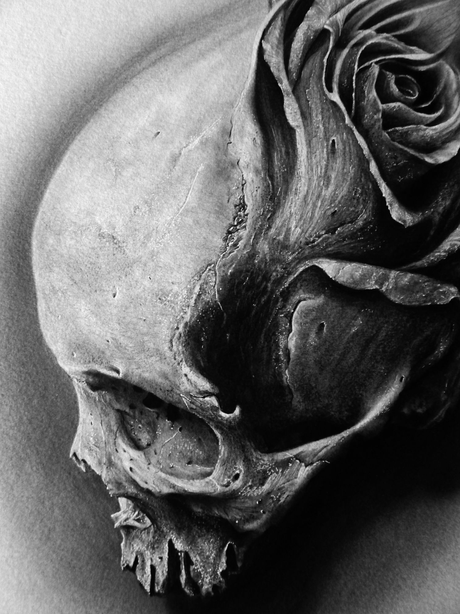 skull flower kit king drawing photo realism black white