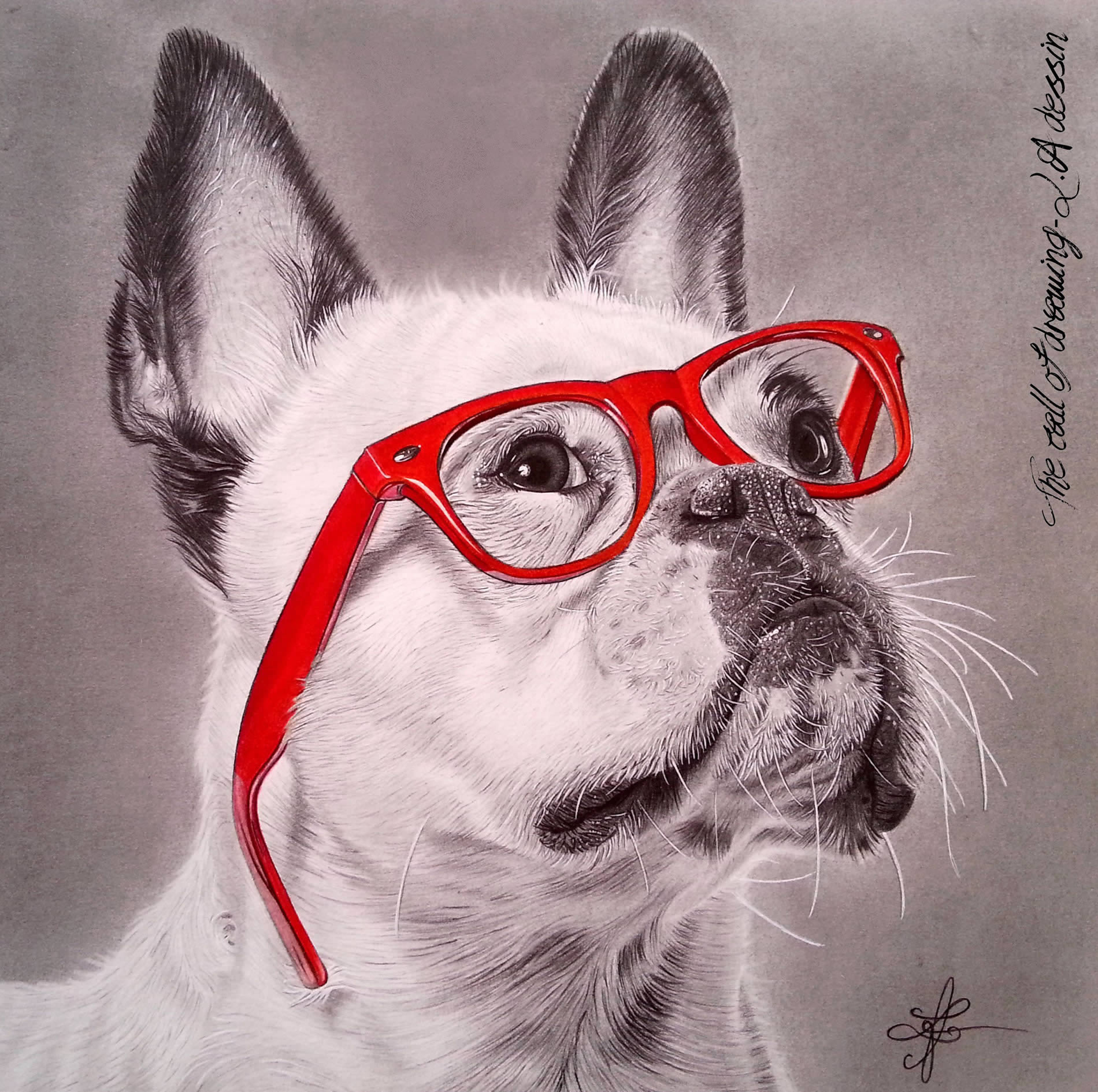 bulldog with red glasses, a drawing by lorine angelmann