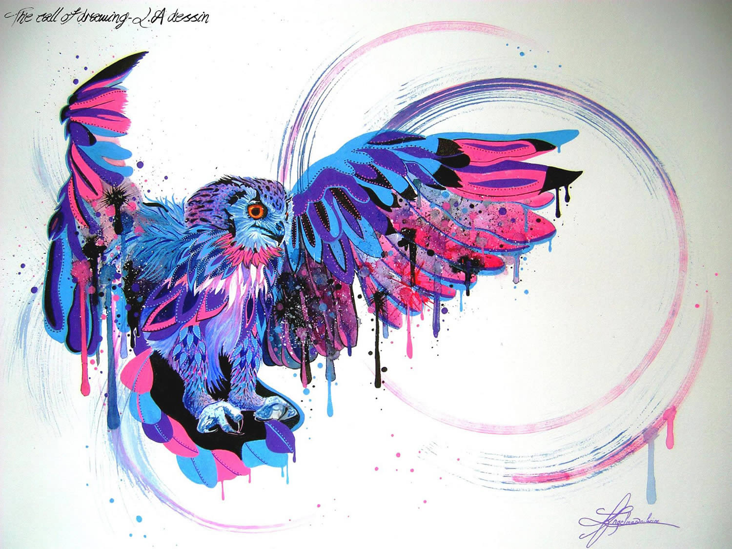 owl purple and pink by lorine angelmann
