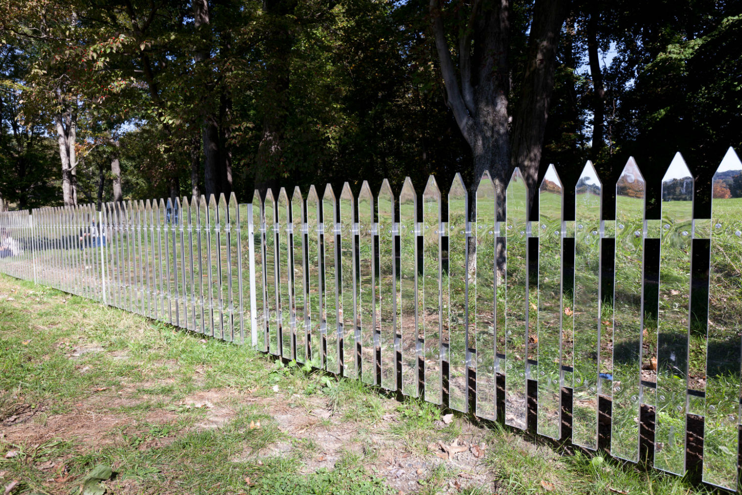 mirrors illusion fence alyson shotz