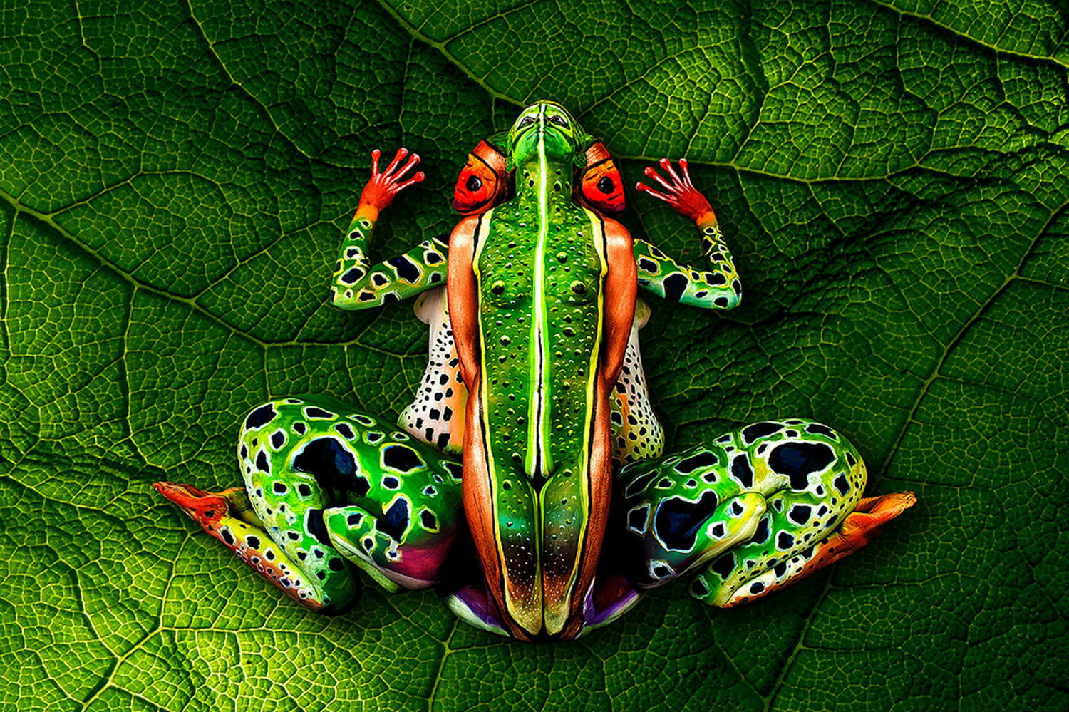 Johannes Stoetter body paint frog