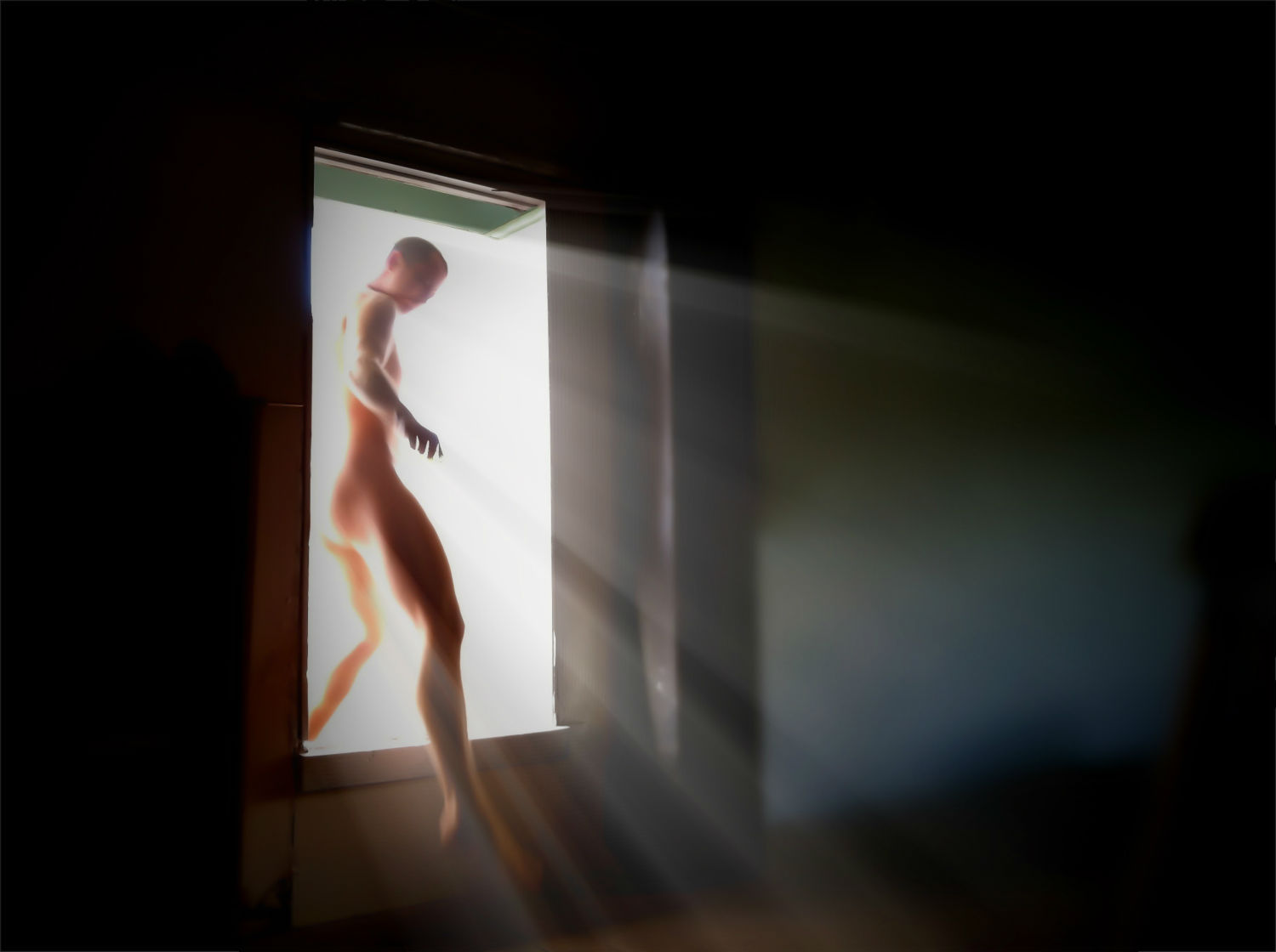 shane robinson nude self portrait light