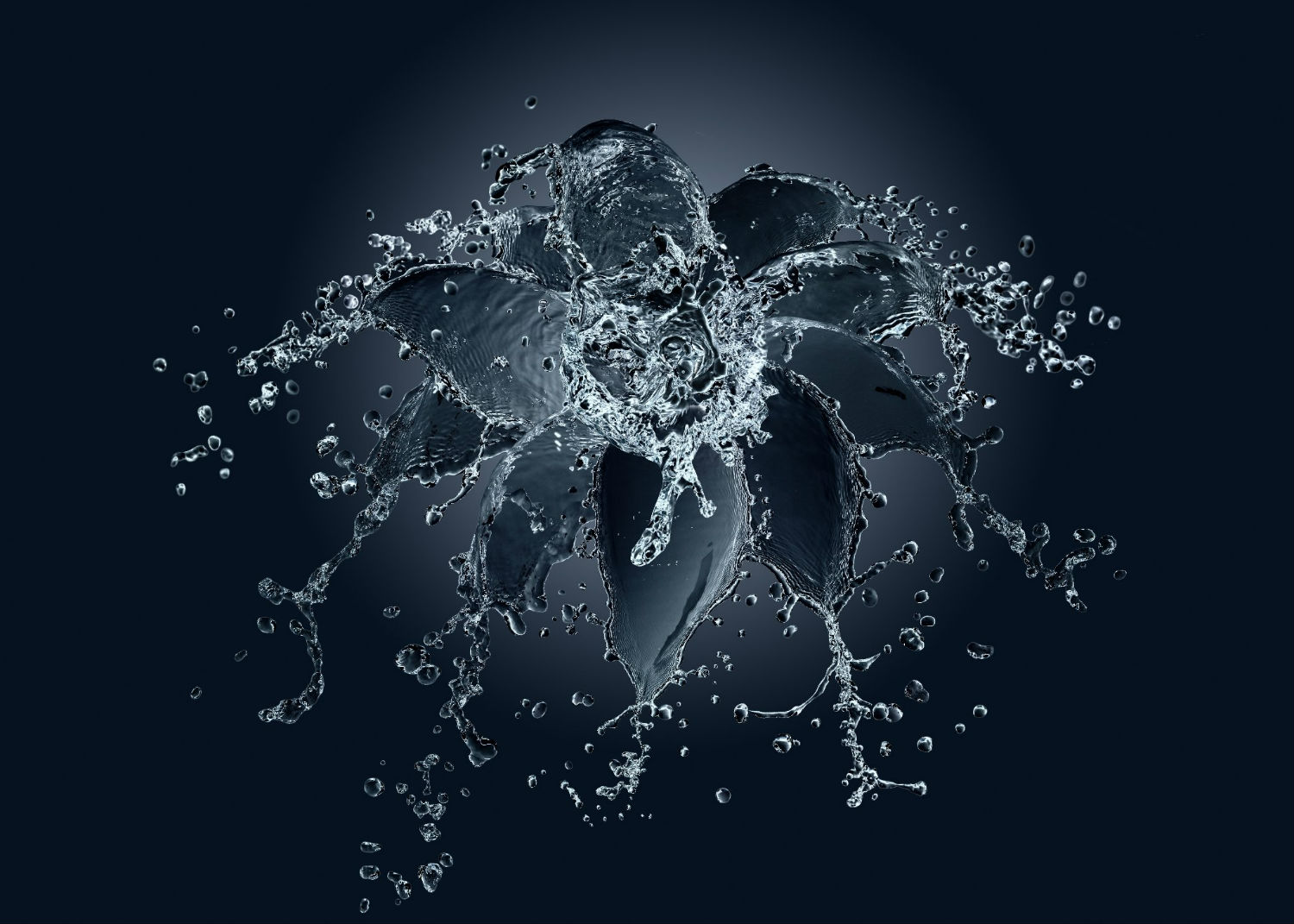 alex koloskov splash water photography black flower