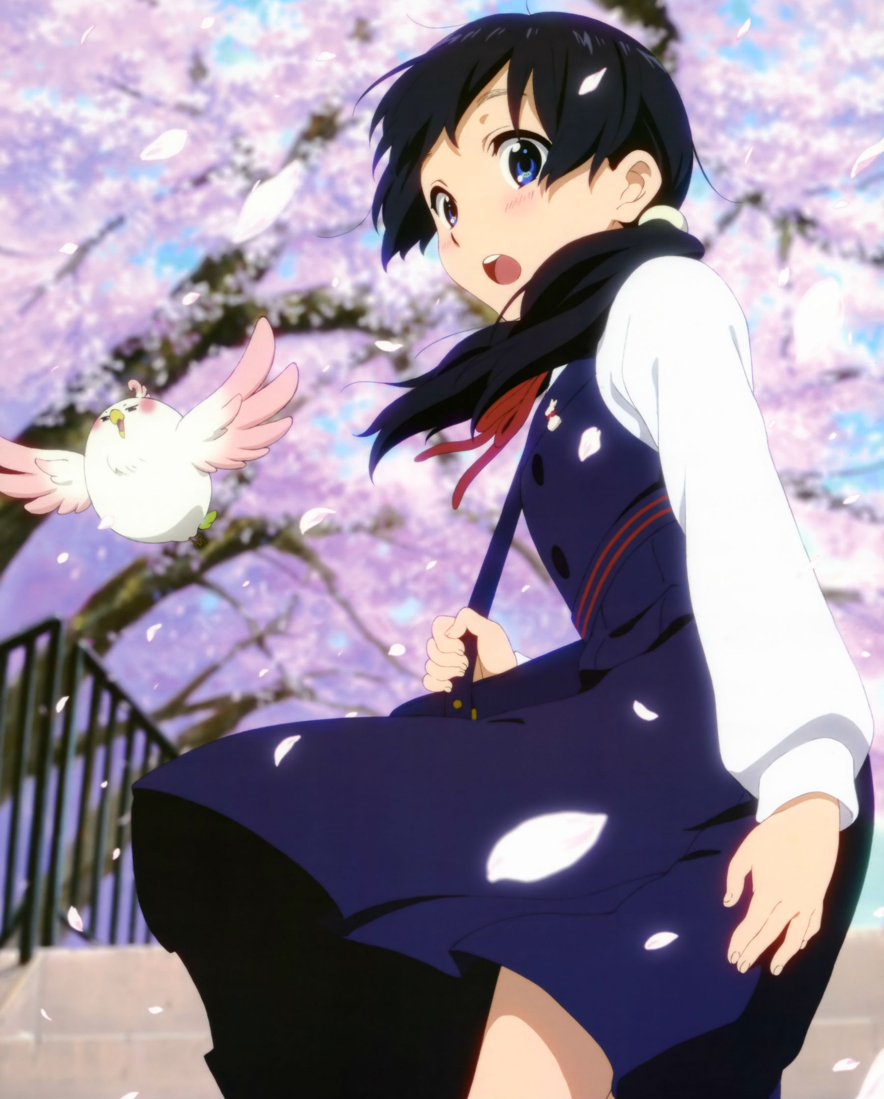 anime japan tamako market purple blossum bird