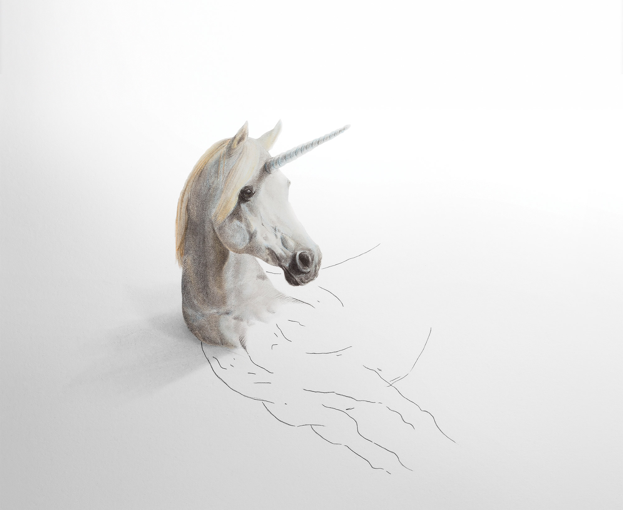 hernan martin illustration black white drawing unicorn