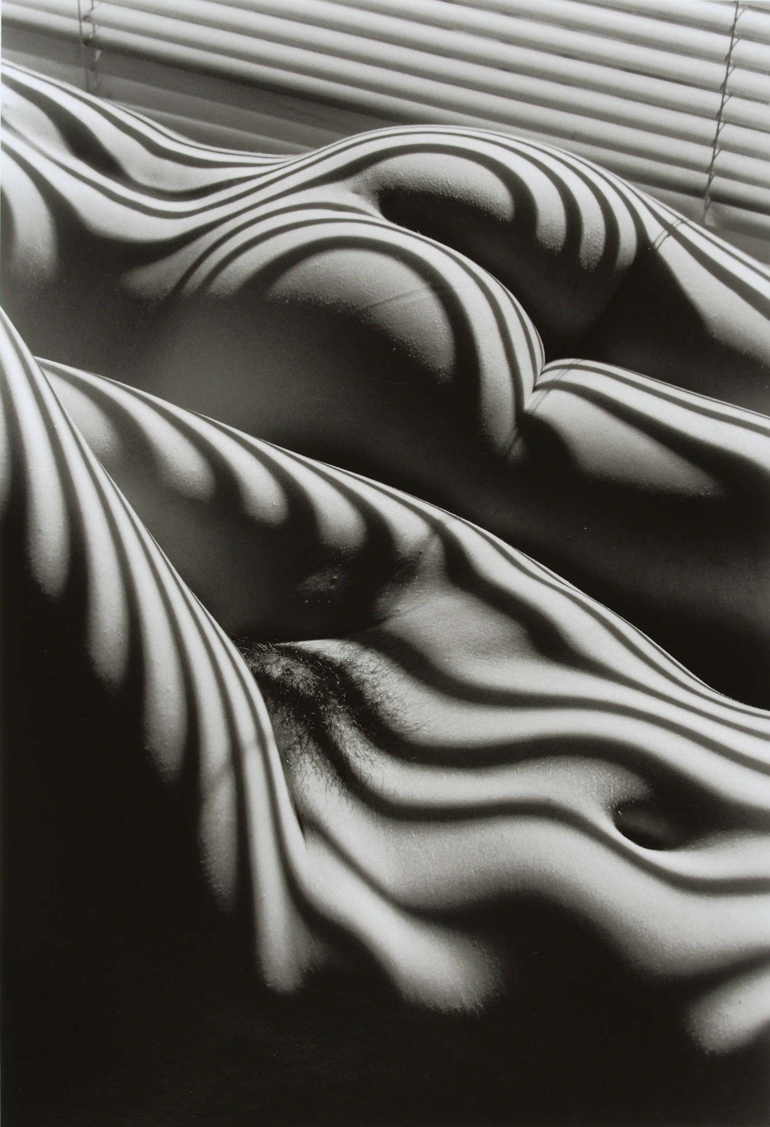 zebra striped nude, photography by lucien clergue