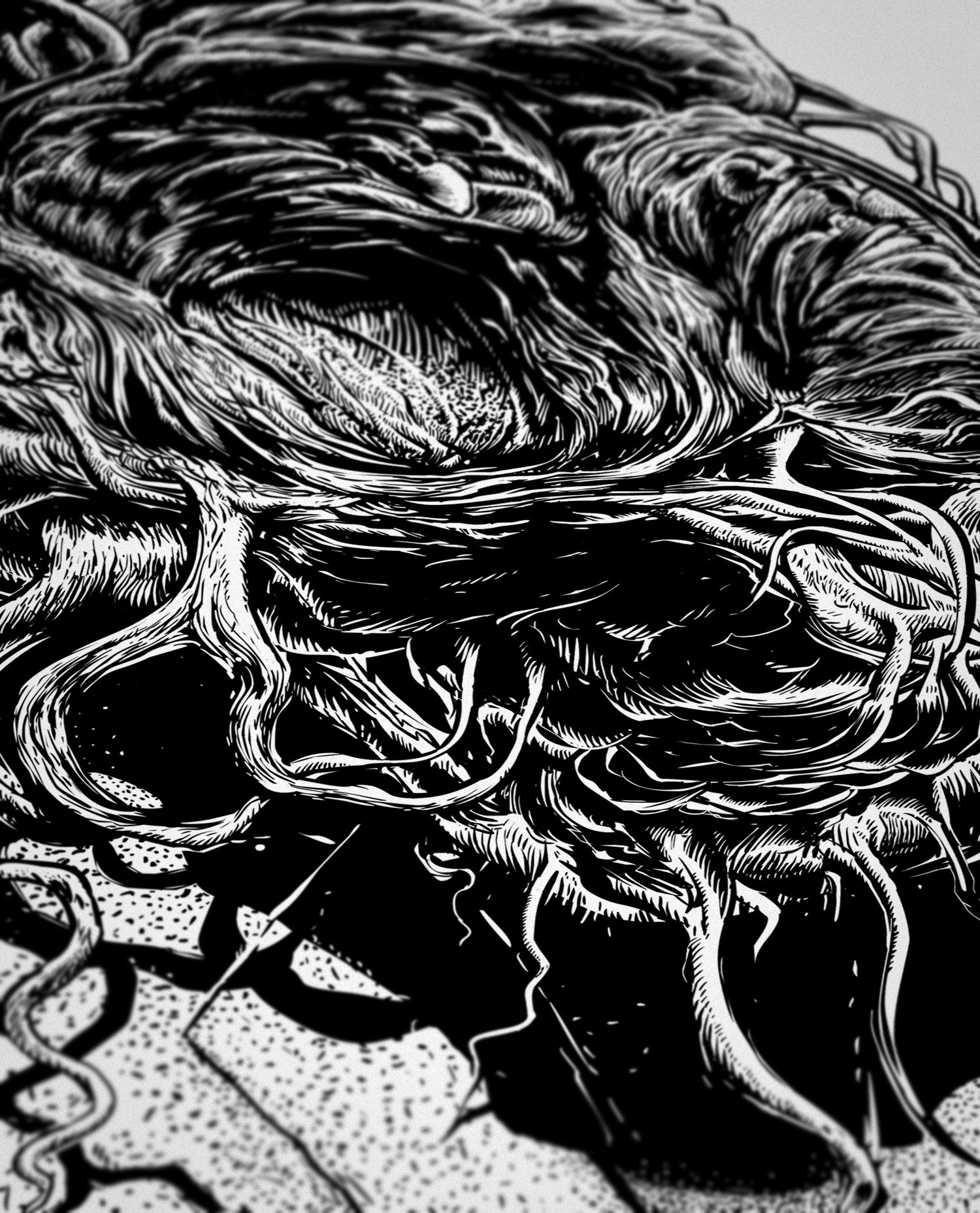 tomek plonka illustration surreal black white contrast detail