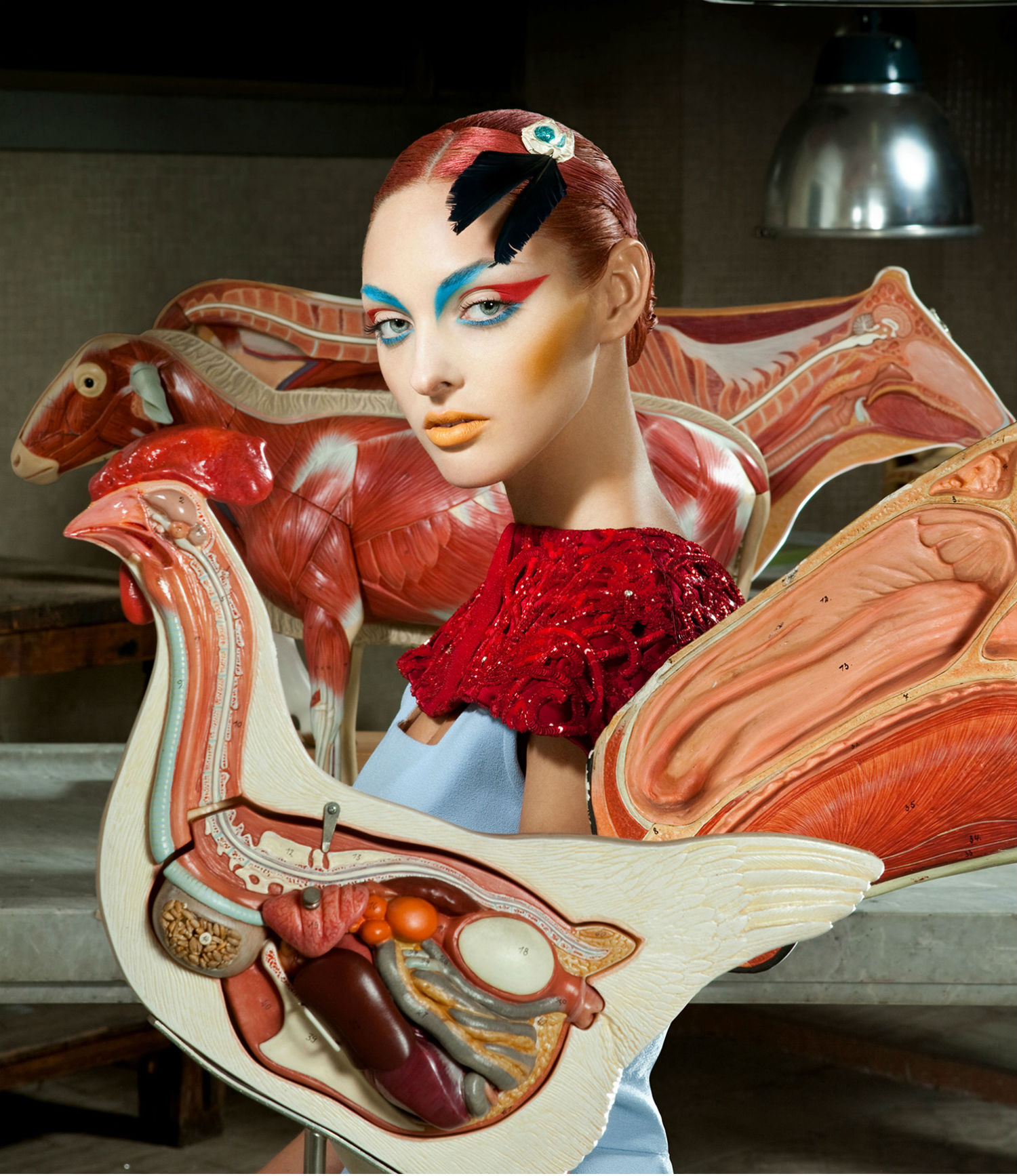 Lucia Giacani fashion photography anatomy animals model colour