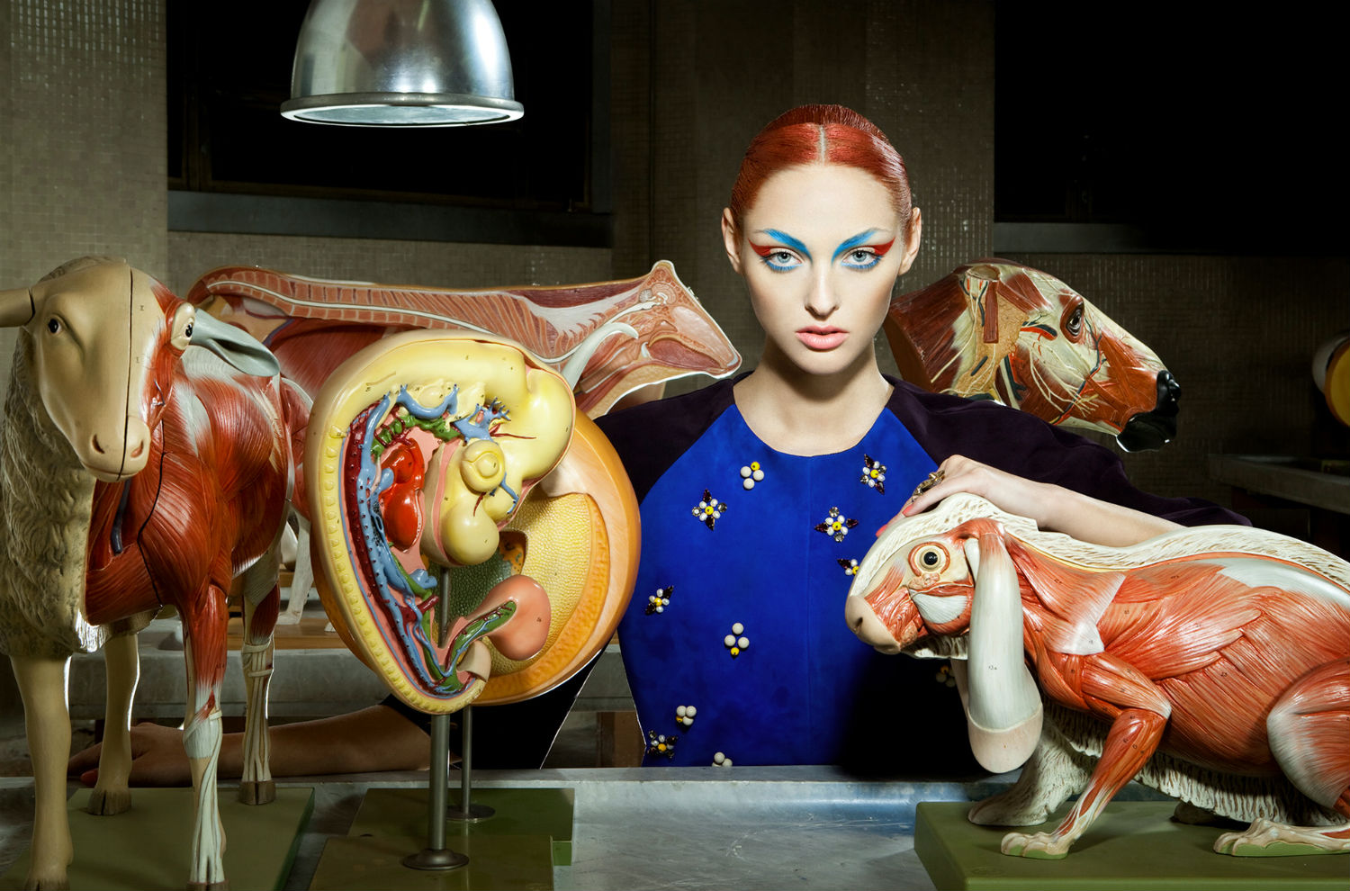 Lucia Giacani fashion photography anatomy animals model colour organs 