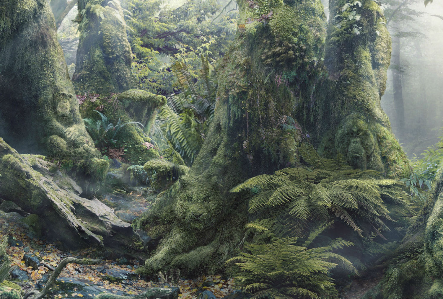 Anaïs Boileau WWF digital art rainforest illusion