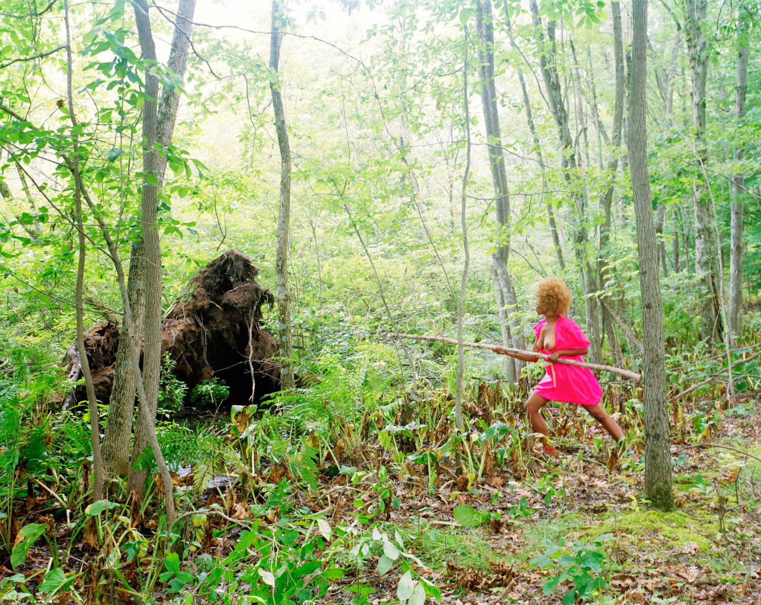 xaviera simmons artist forest gorilla photography