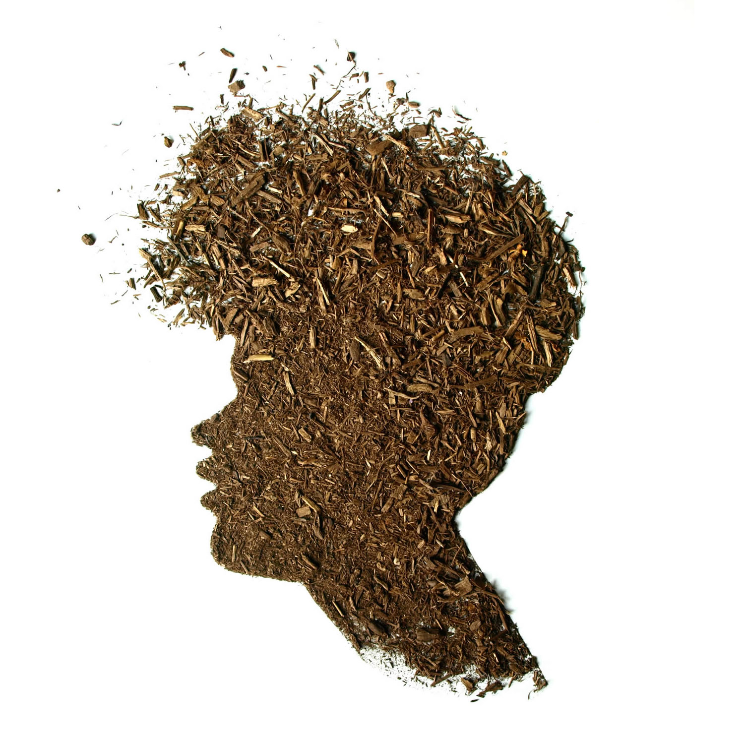 portrait made with soil by sarah rosado