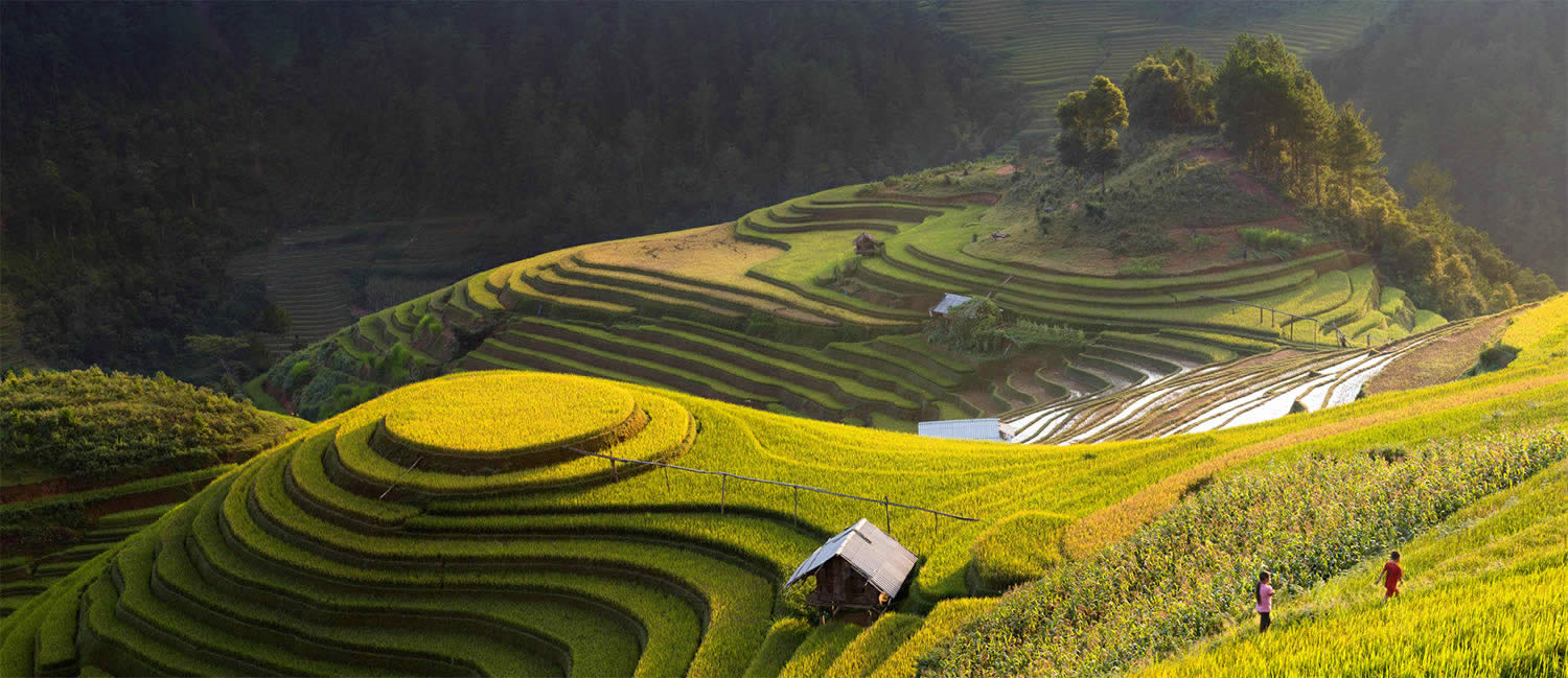 stunning view of rice terraces