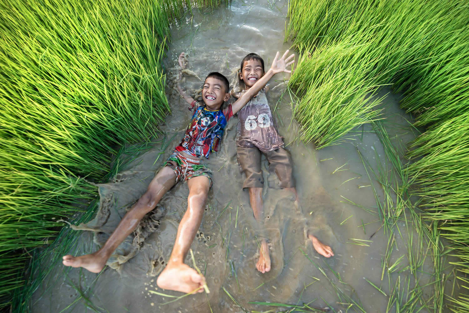 kids having fun in a vietnam rice terrace, paddy fields