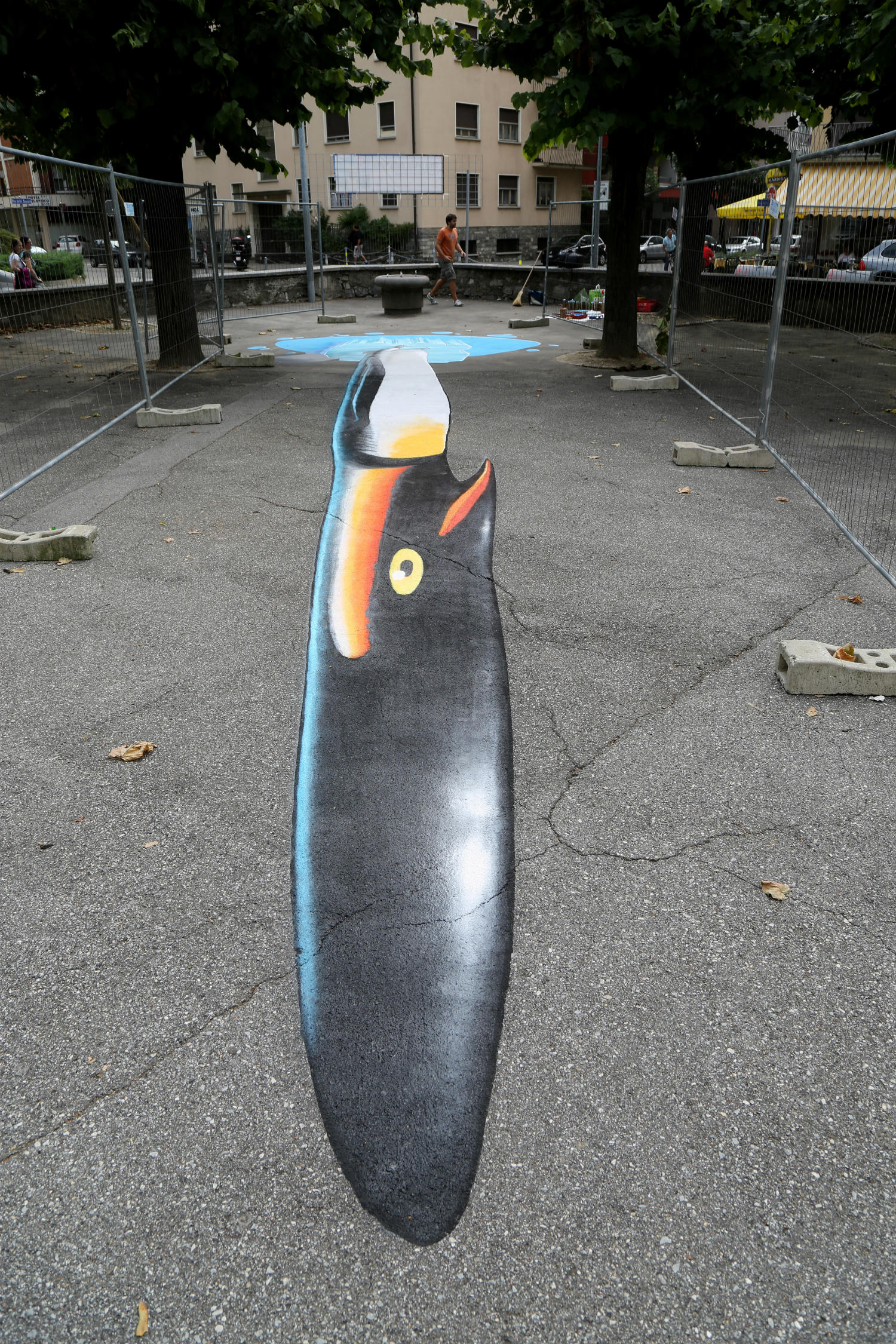 nevercrew street art graffiti penguin anamorphic