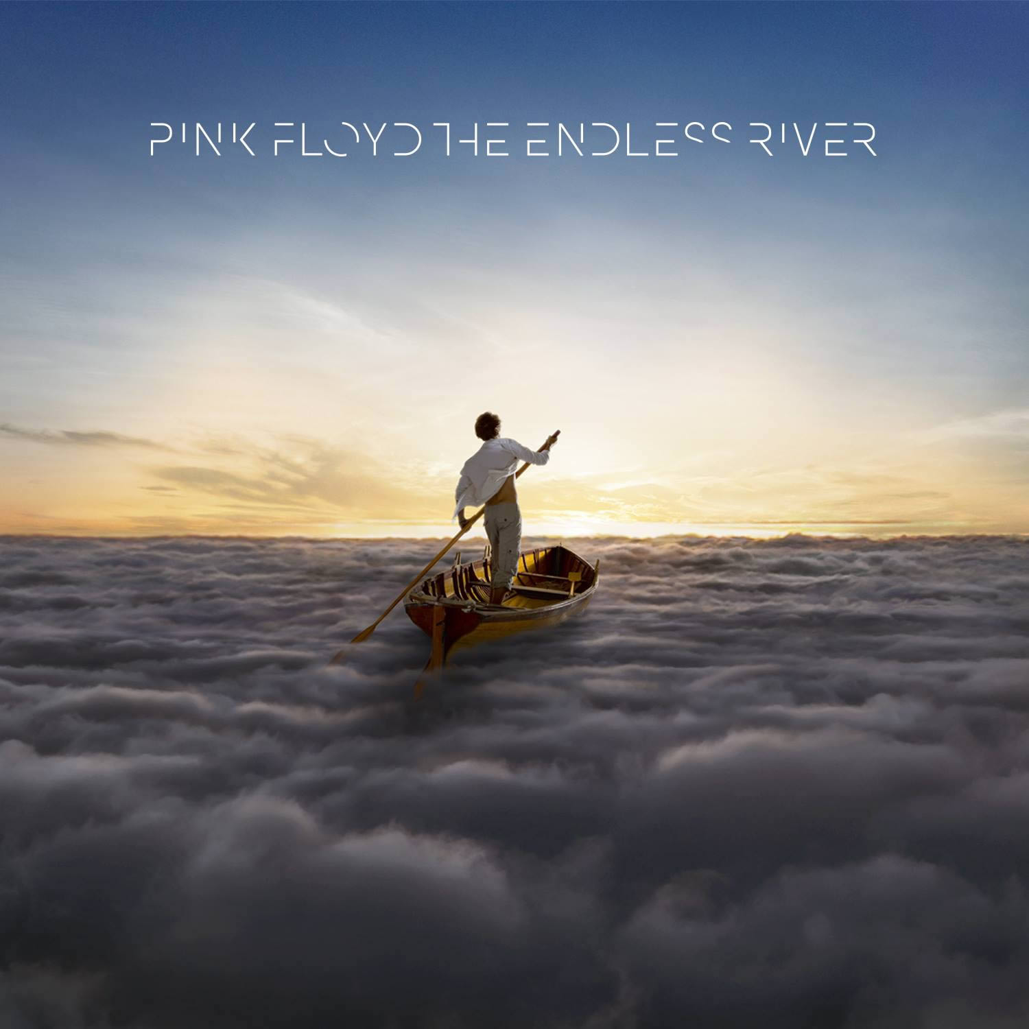 pink floyd's endless river album cover