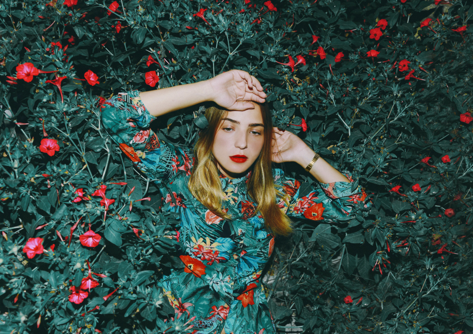 denef huvaj photography dreamy feminine red roses