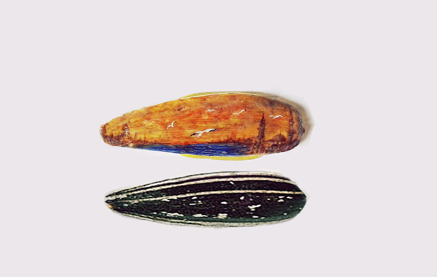 mesut kul painting miniature shell nut