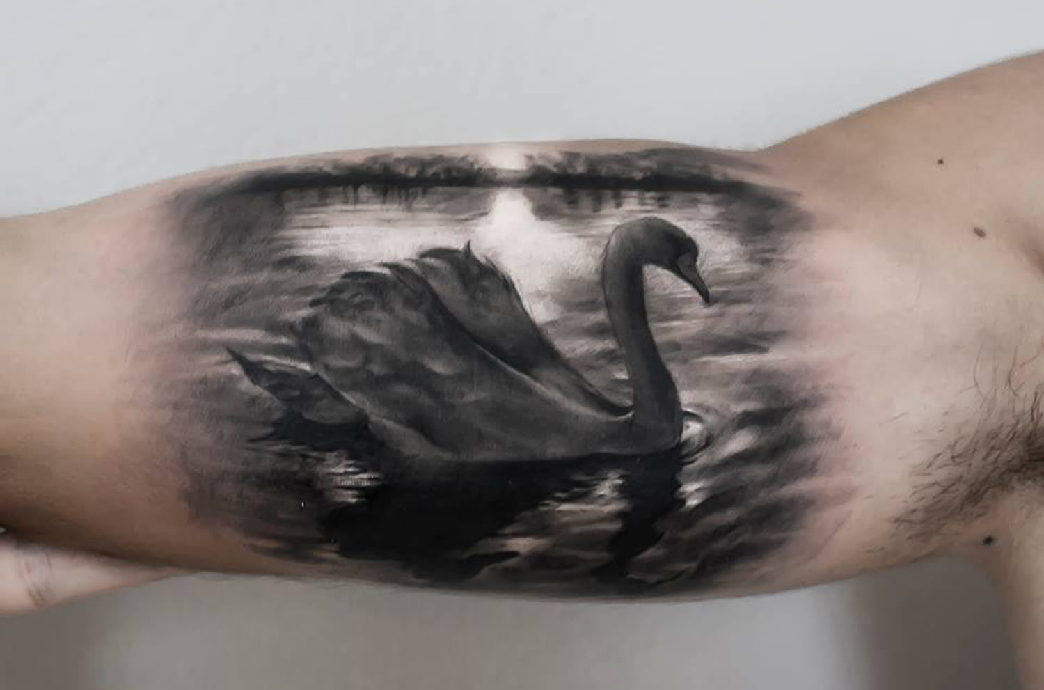 realistic swan on lake tattoo  by paolo murtas