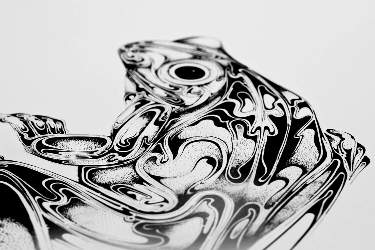 frog drawing curlicue